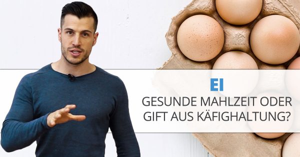 Ei – gesunde Mahlzeit oder Gift aus Käfighaltung?