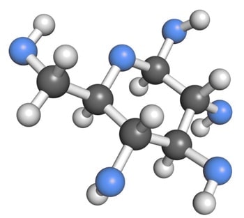 Kohlenhydrat