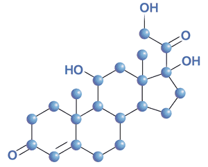 cortisol unter kontrolle halten