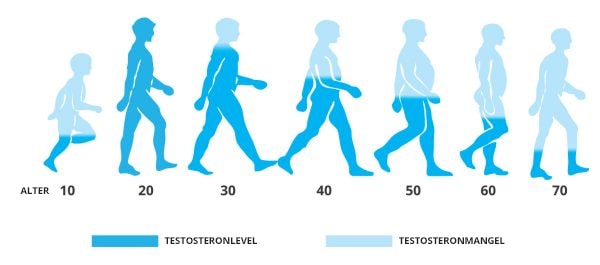 testosteron-werte im alter