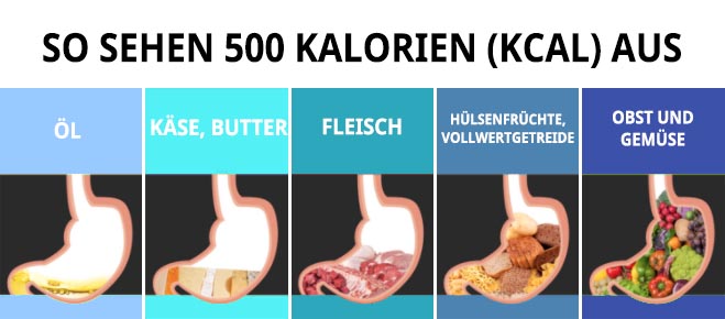 so sehen 500 kalorien aus