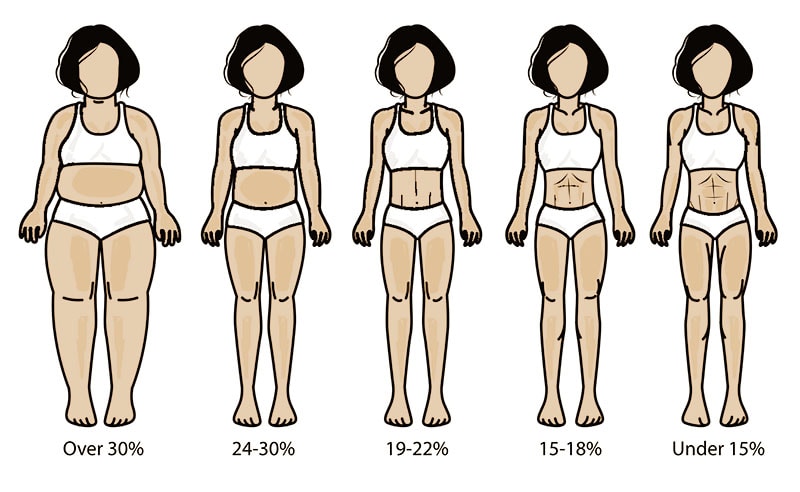 Körperfettanteil Bilder – Frauen