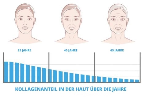 Kollagenanteil in der haut über die jahre