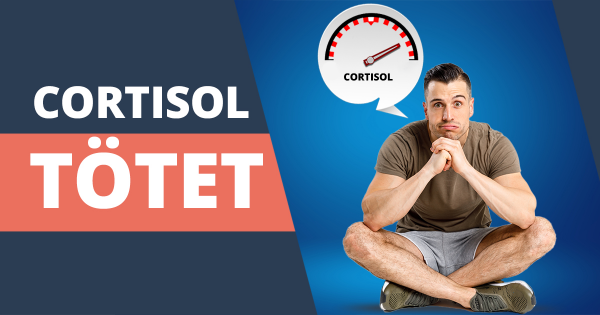 Cortisol – der Feind der Sommerfigur