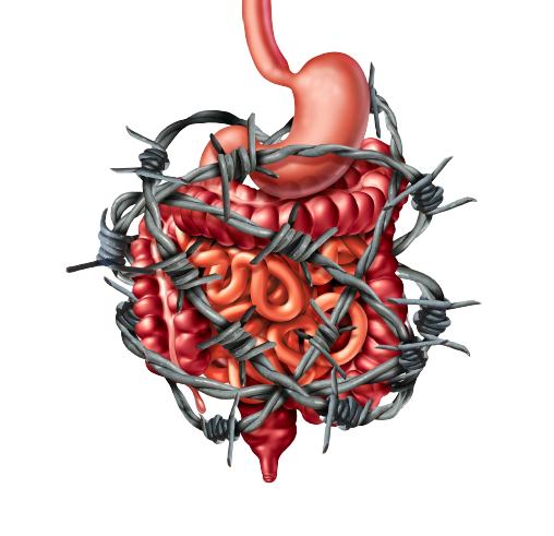 Leaky gut syndrom behandlung