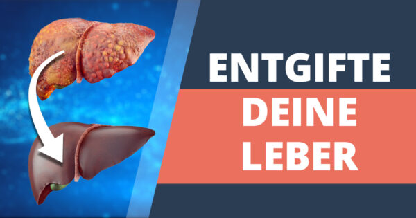 Leber-Regeneration – wie kann man die Leber entlasten?