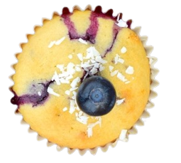 Kokos-heidelbeer-muffins